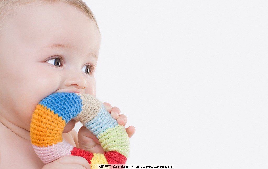 市川市动物园也迎来了大批游客