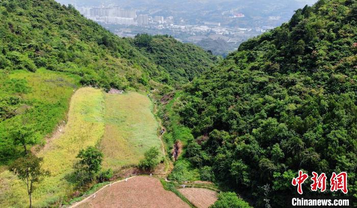 千年古道迎山地挑战赛 跑者共赴历史与自然的双