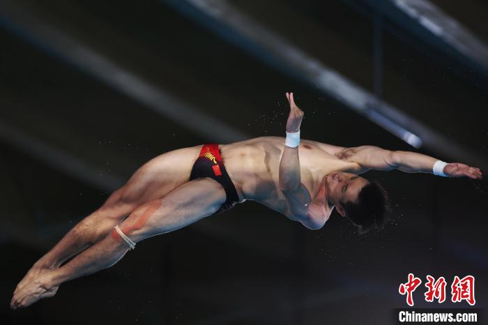 中国跳水梦之队巴黎奥运包揽8金 曹缘卫冕日本小